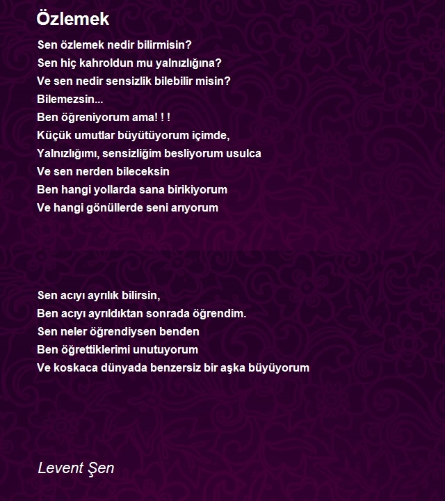 Levent Şen