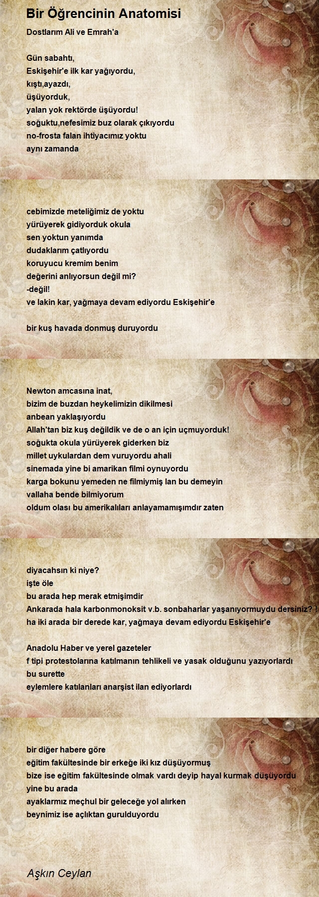 Aşkın Ceylan