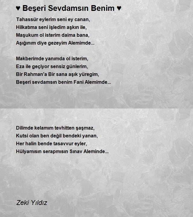 Zeki Yıldız