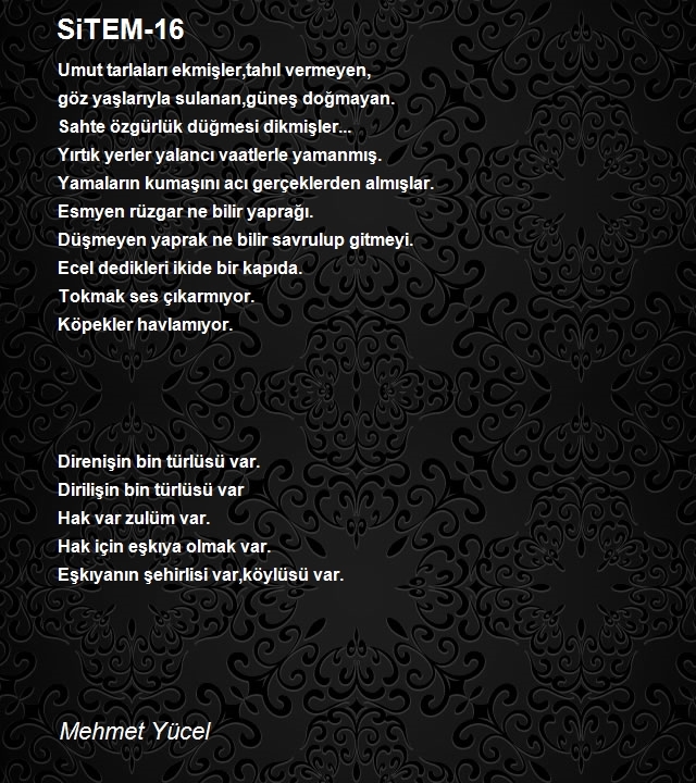 Mehmet Yücel