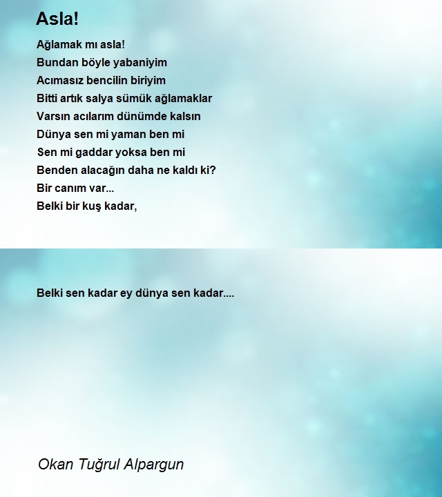 Okan Tuğrul Alpargun