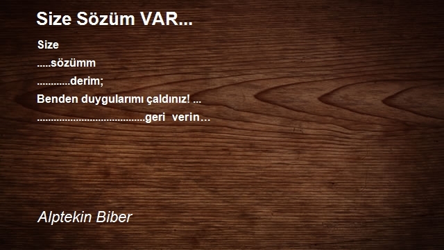 Alptekin Biber