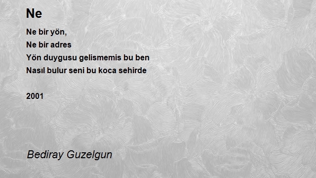 Bediray Guzelgun