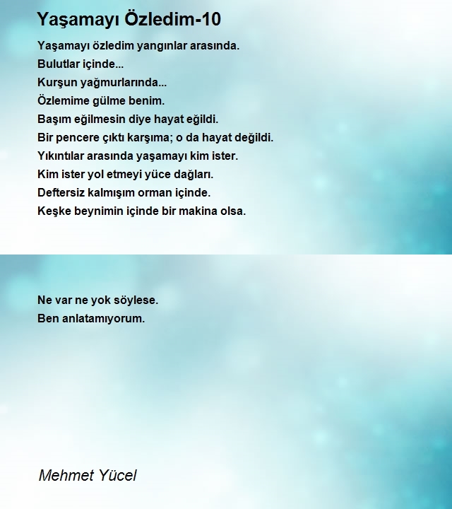 Mehmet Yücel