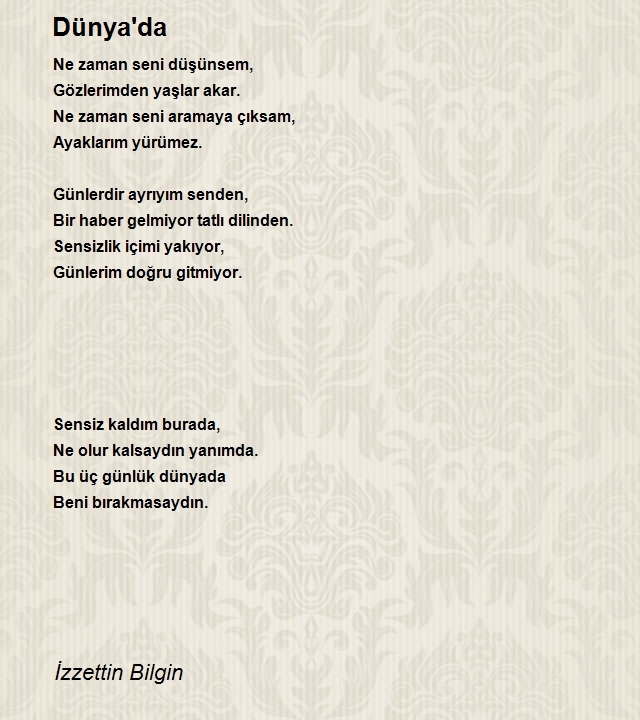 İzzettin Bilgin 