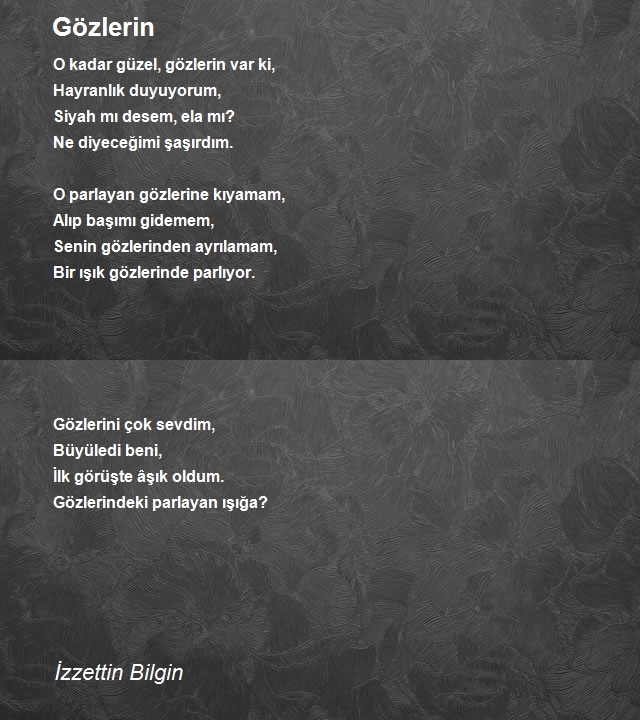 İzzettin Bilgin 