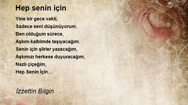 İzzettin Bilgin 