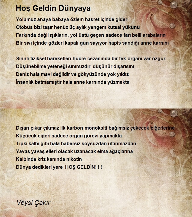 Veysi Çakır