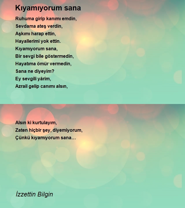 İzzettin Bilgin 