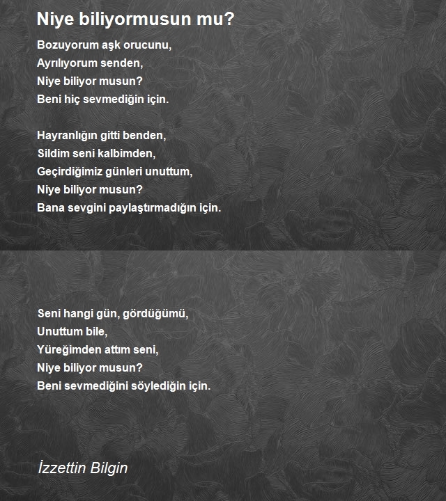 İzzettin Bilgin 