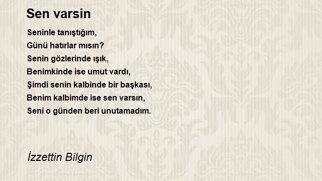 İzzettin Bilgin 