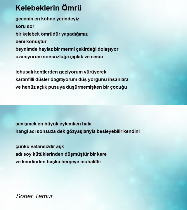 Soner Temur