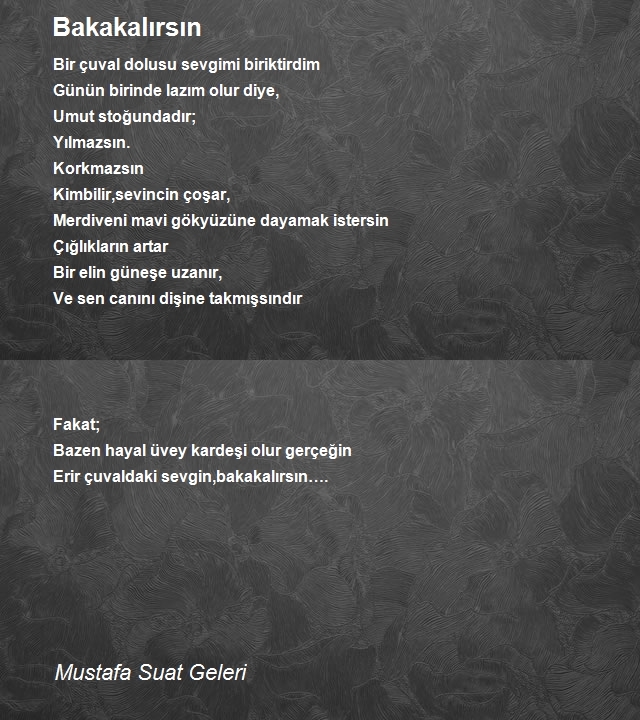 Mustafa Suat Geleri