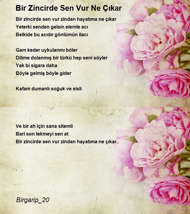 Şair Birgarip_20