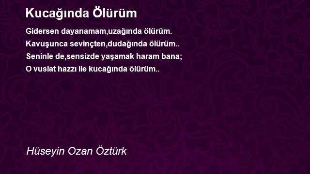 Hüseyin Ozan Öztürk