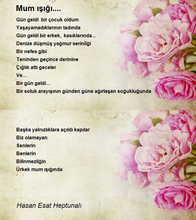 Hasan Esat Heptunalı