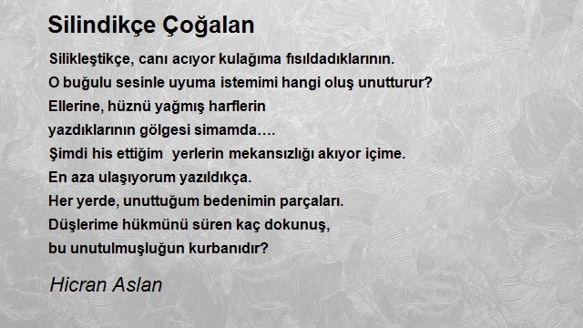 Hicran Aslan