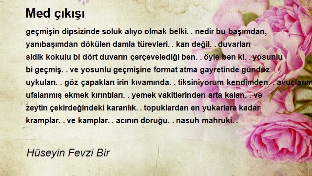 Hüseyin Fevzi Bir