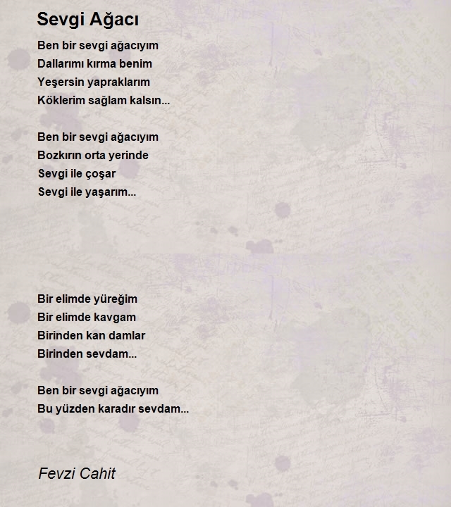 Fevzi Cahit