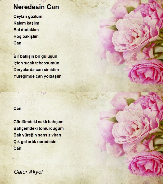 Cafer Akyol