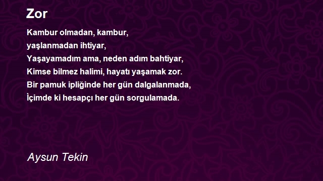 Aysun Tekin