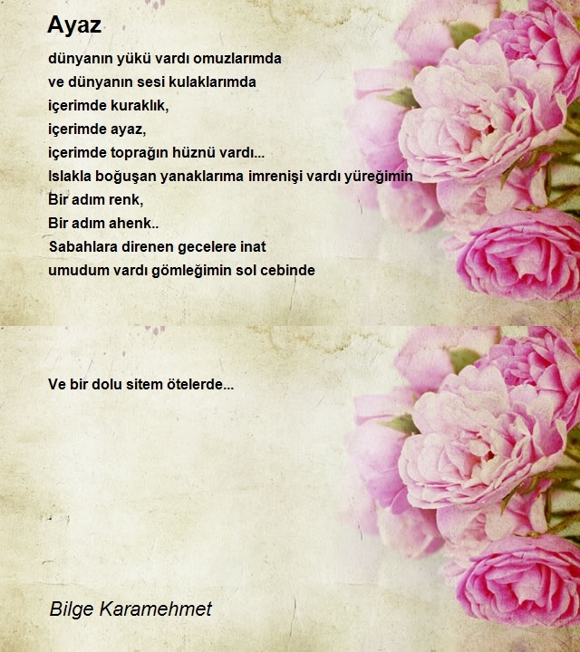 Bilge Karamehmet