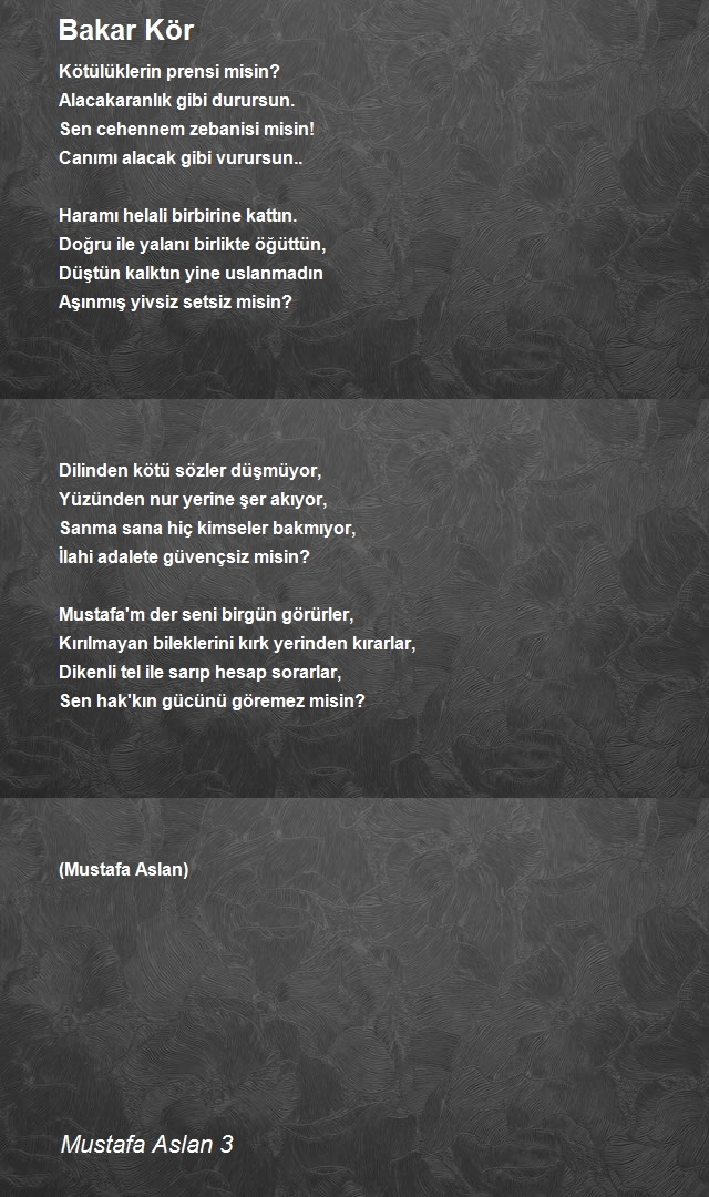 Mustafa Aslan 3