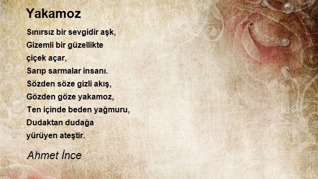 Ahmet İnce