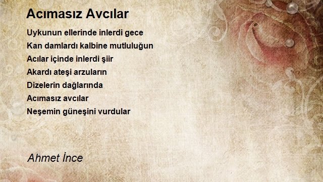 Ahmet İnce