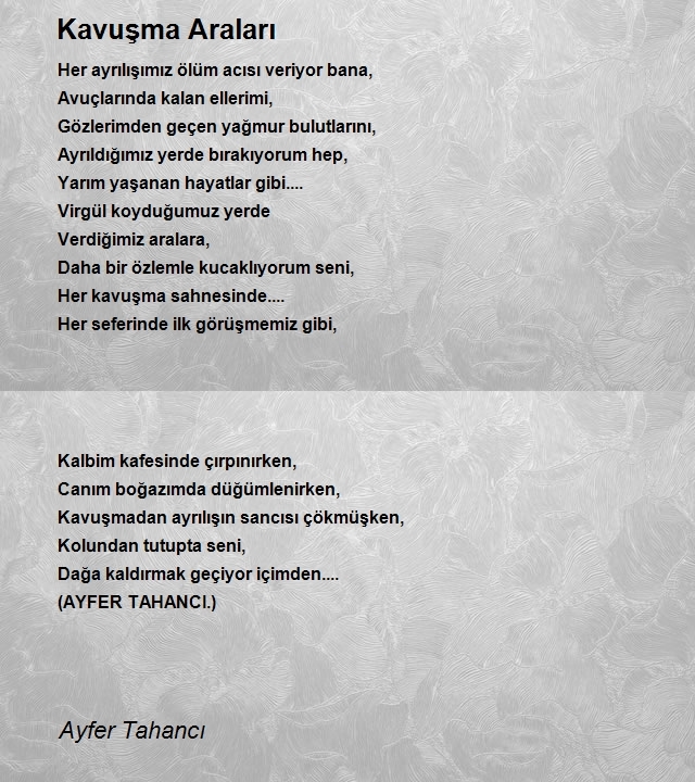 Ayfer Tahancı