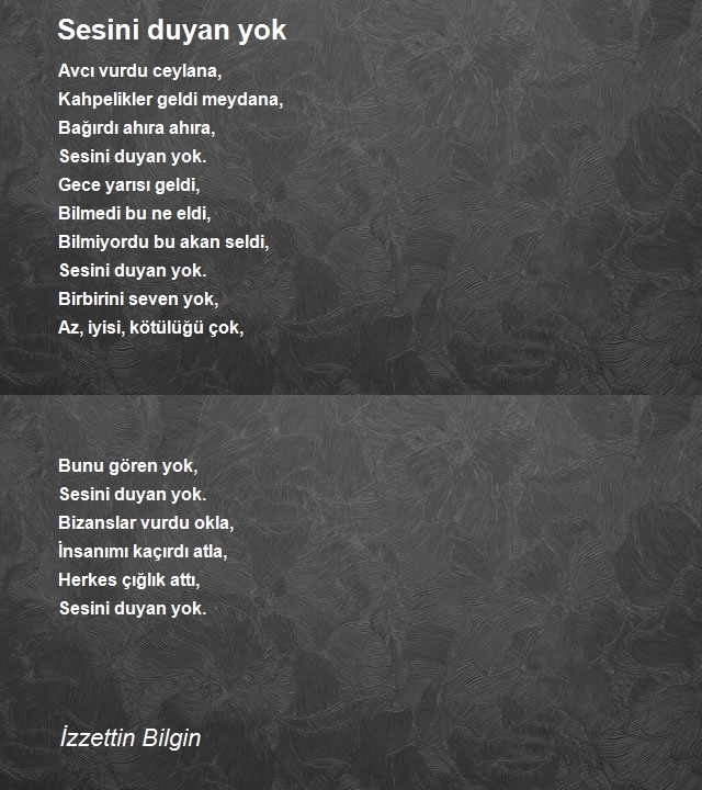 İzzettin Bilgin 