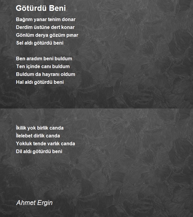 Ahmet Ergin