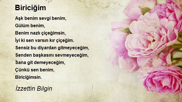 İzzettin Bilgin 