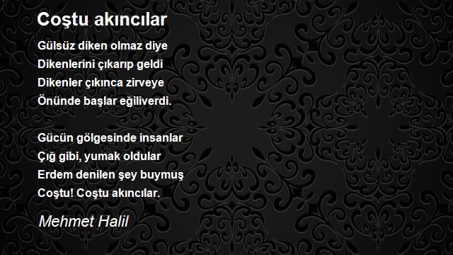 Mehmet Halil