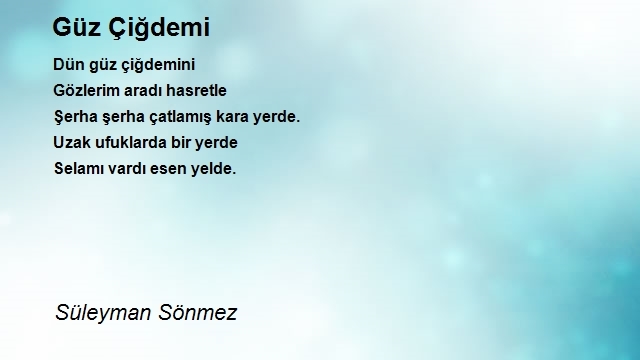 Süleyman Sönmez