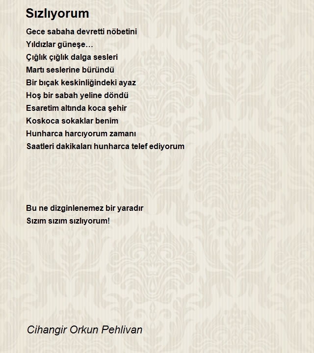 Cihangir Orkun Pehlivan