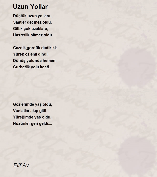 Elif Ay