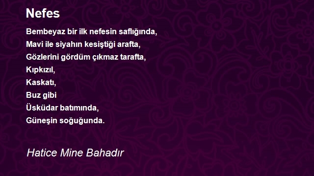 Hatice Mine Bahadır