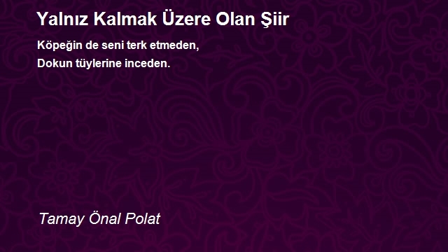 Tamay Önal Polat