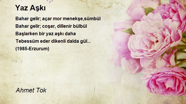 Ahmet Tok