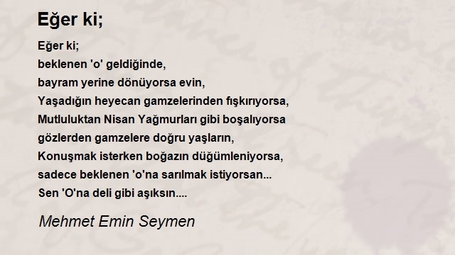 Mehmet Emin Seymen