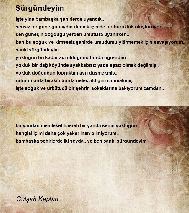 Gülşah Kaplan