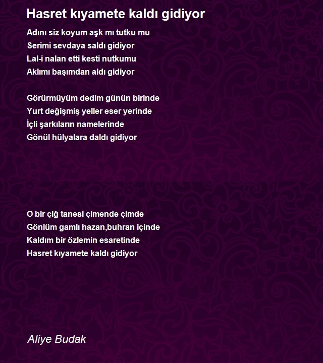 Aliye Budak