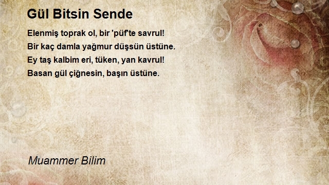 Muammer Bilim