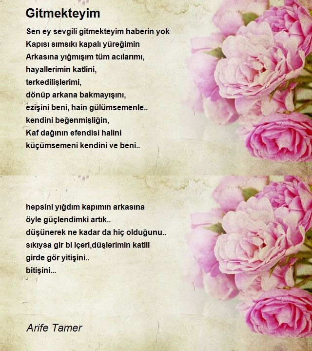 Arife Tamer