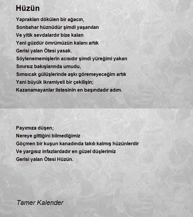 Tamer Kalender