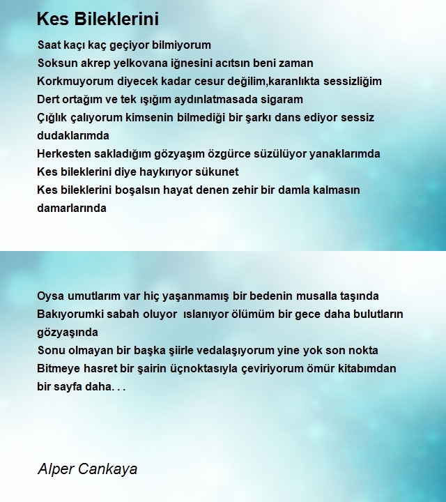 Alper Cankaya