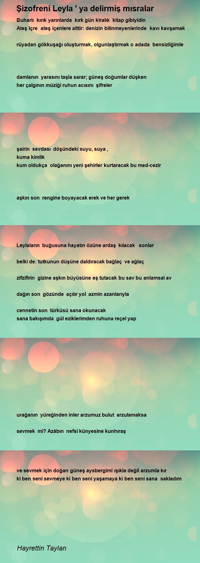 Hayrettin Taylan