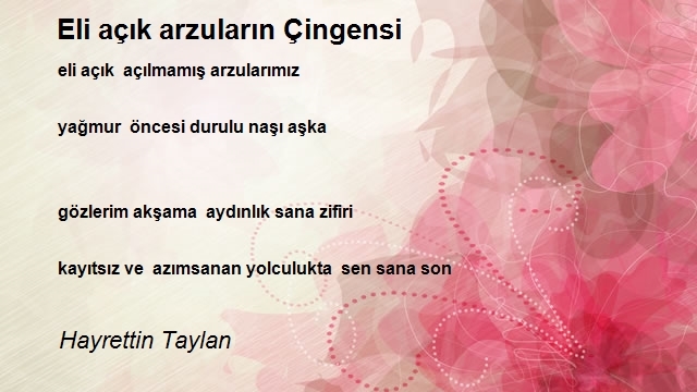 Hayrettin Taylan