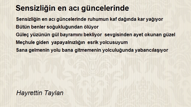 Hayrettin Taylan